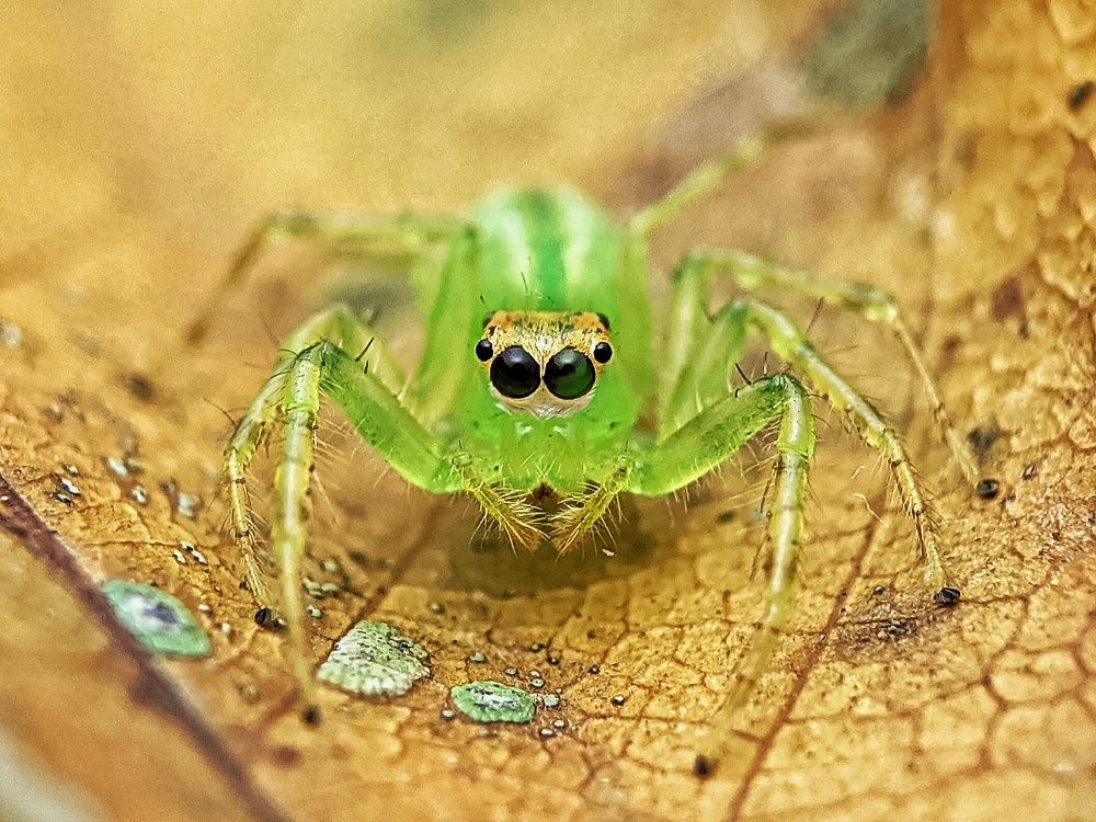 Photograph by Eka Uksyah