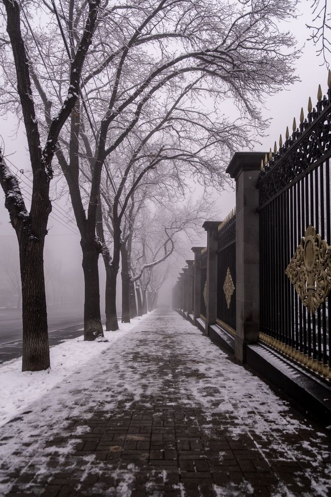 Photograph by Владимир