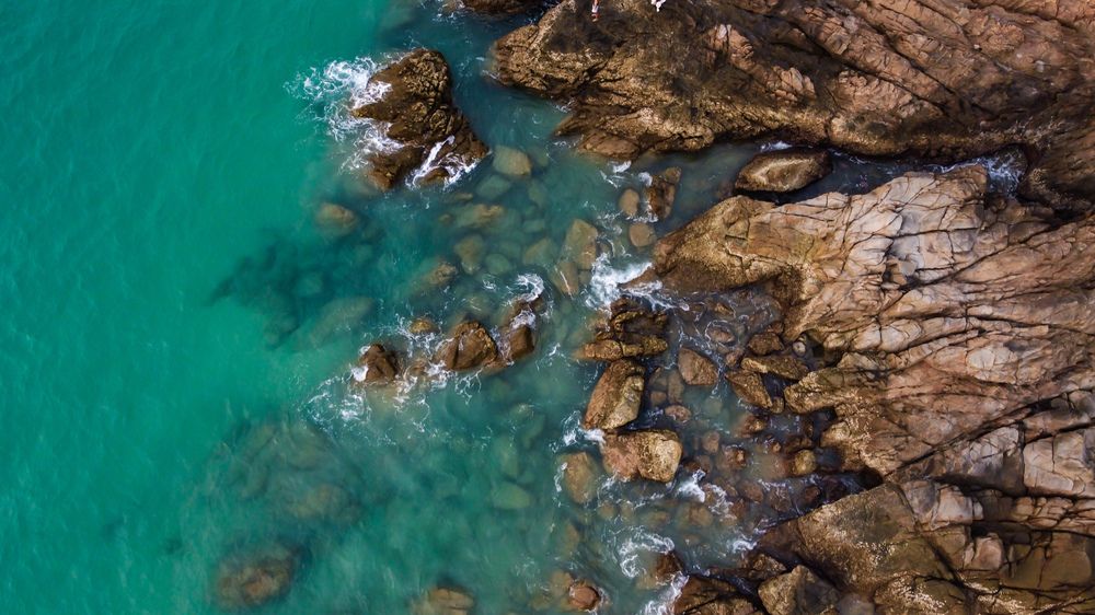 Photograph by Алина Орлова