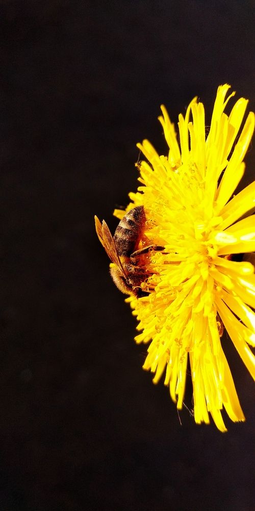 Photograph by Юлина Наталья