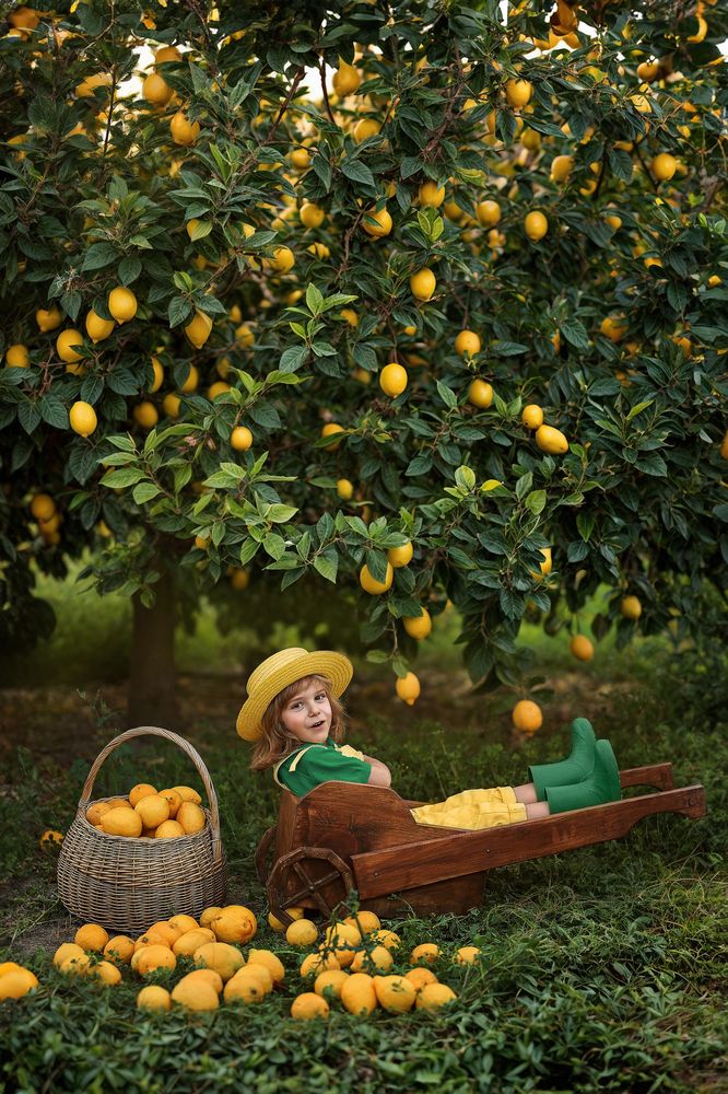 Photograph by Анастасия