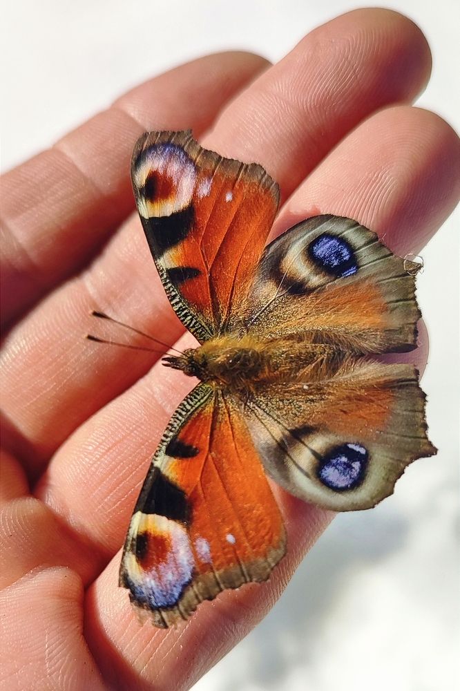 Фотография автора Валерий Жданов