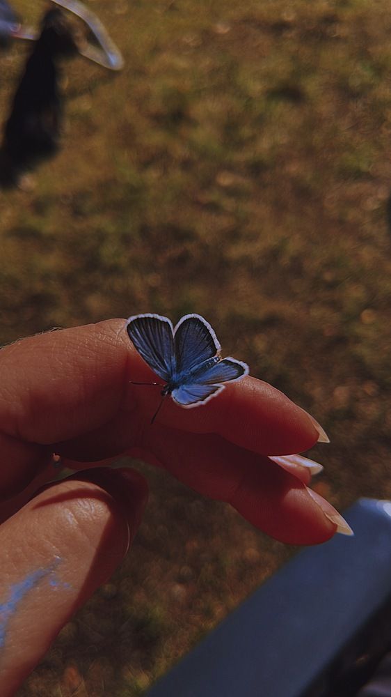 Photograph by Юлия