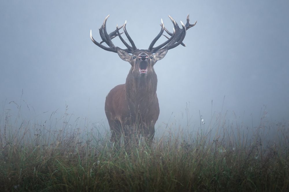 Фотография автора Рудченко Ольга