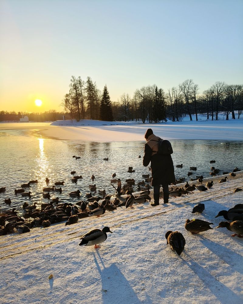 В парке Царского Села