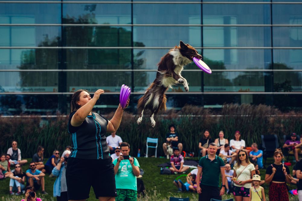 Photograph by Patrycja