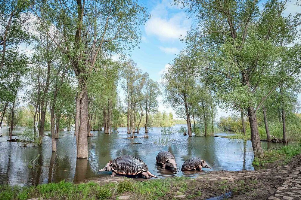 Photograph by Андрей Чернышов