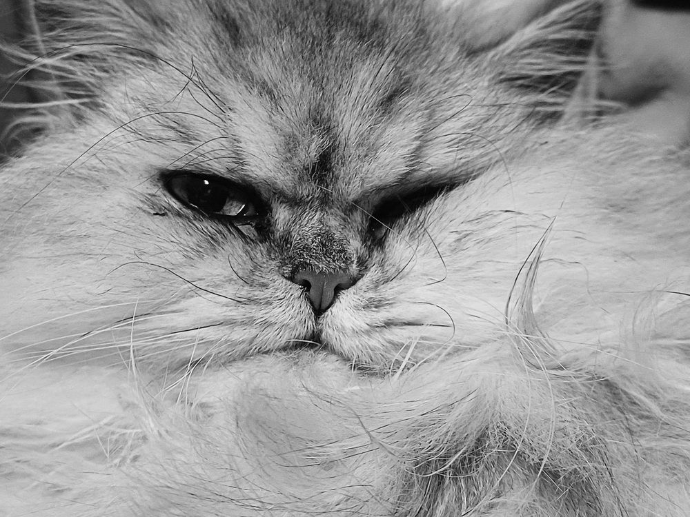 Photograph by Anna Veľasová