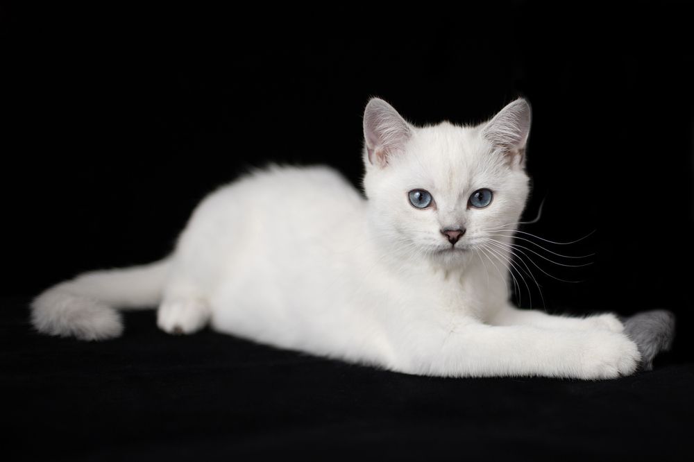 Photograph by Екатерина Каменцева