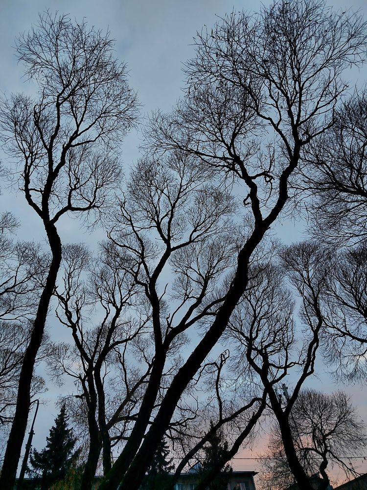 Photograph by Александра Борисовна