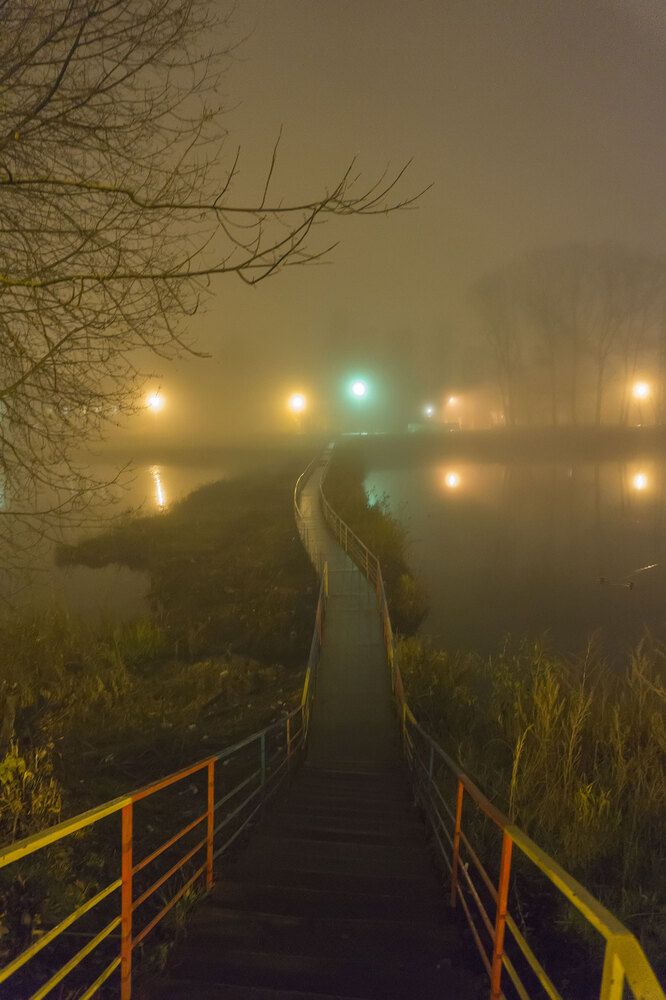 Photograph by Сандра