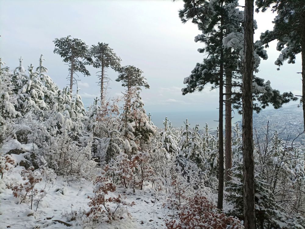 Photograph by Светлана Кучеренко