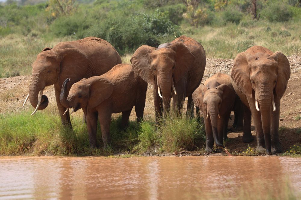 Photograph by Dagmar Vopolková