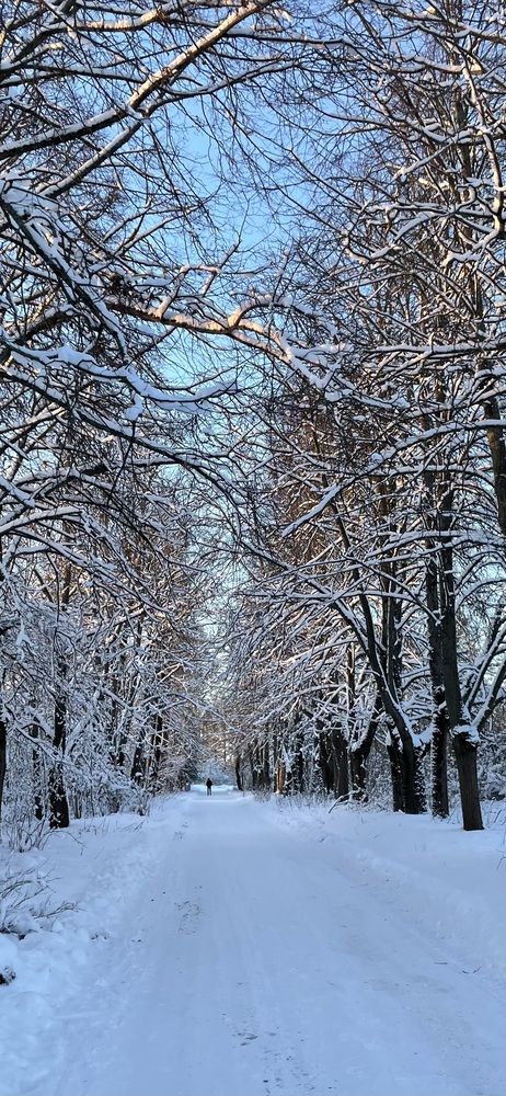Фотография автора Анна Беднякова
