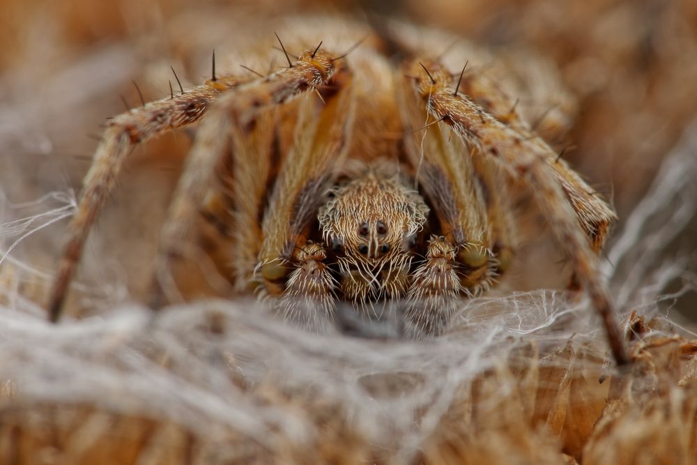 Фотография автора Jozef Mihalčin