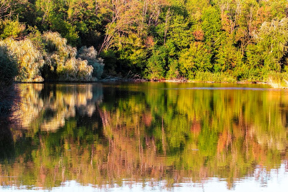 Photograph by Maria Kincse-Boros