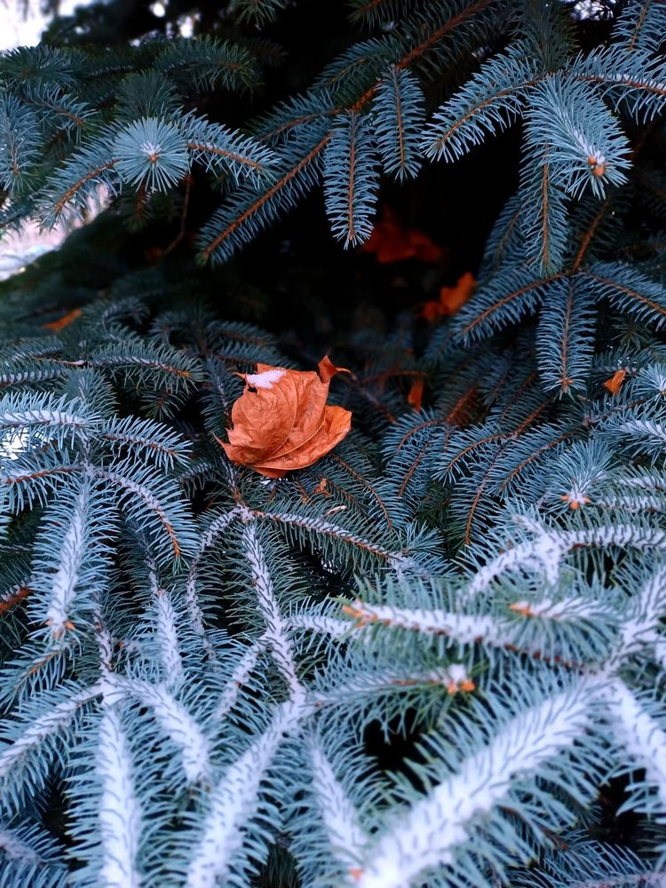 Photograph by Olga Kot