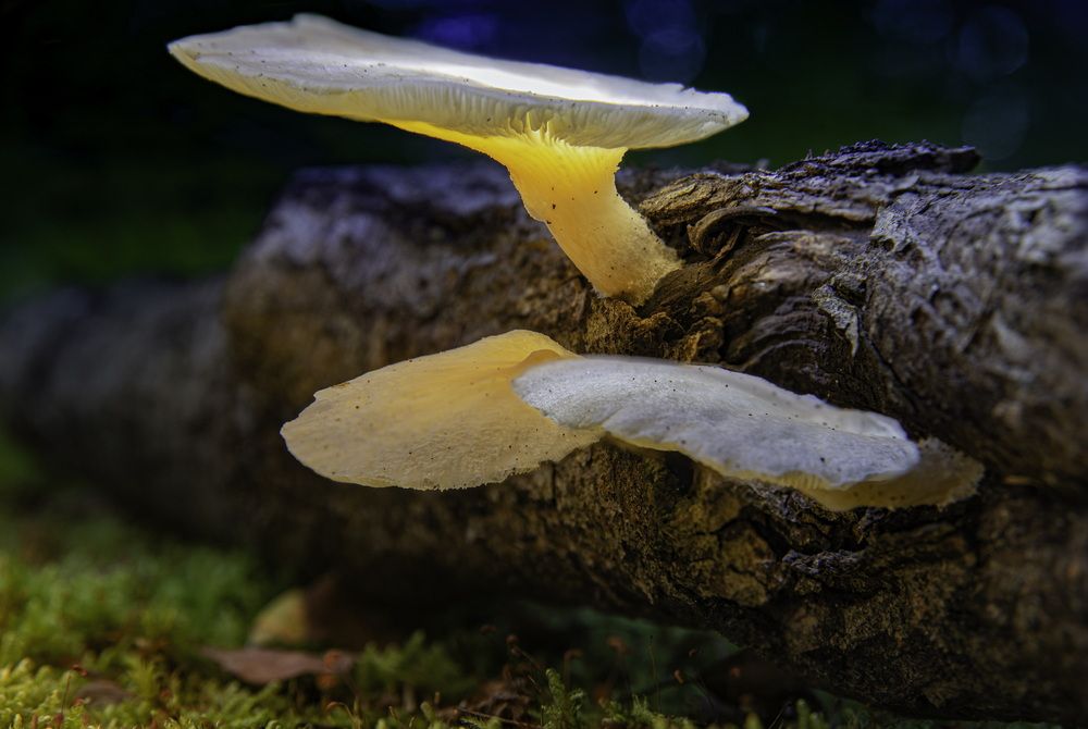 Photograph by Андреев Роман