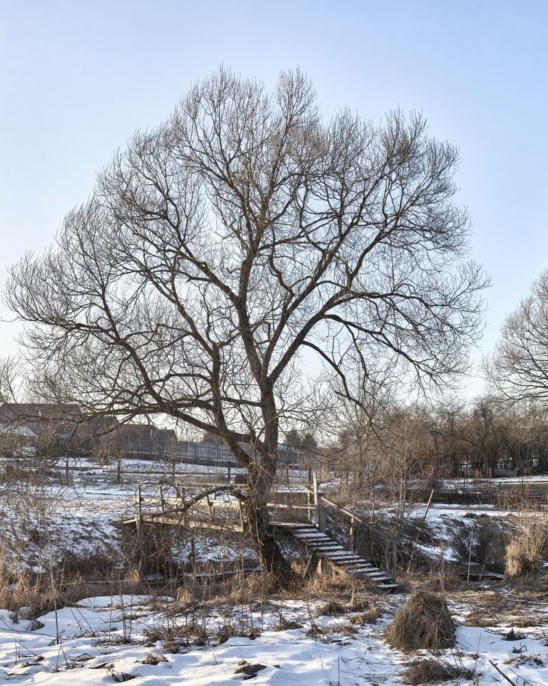 Photograph by Ольга Третьякова