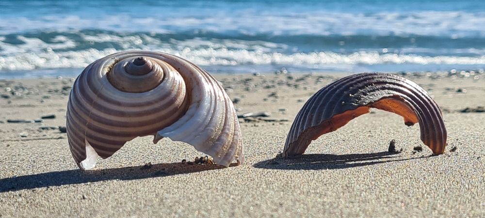 Photograph by Nadzeya