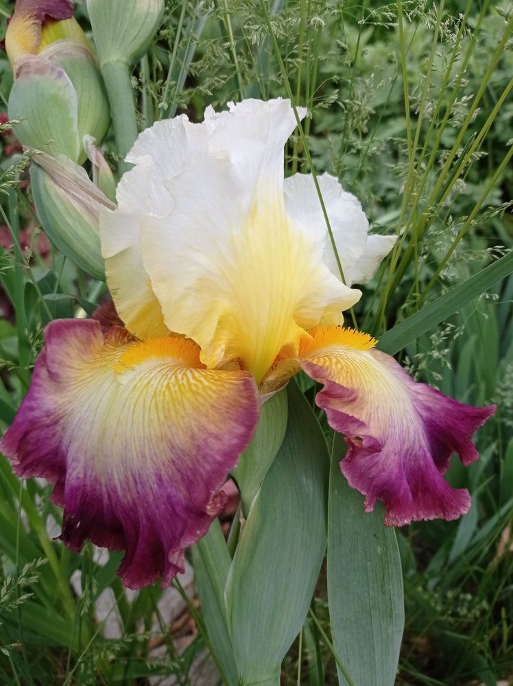 Photograph by Ирина Марченко