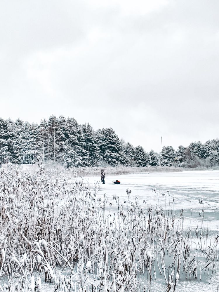 Photograph by Светлана Долганова