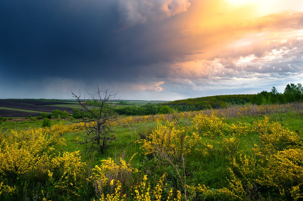 Photograph by Рукин Иван