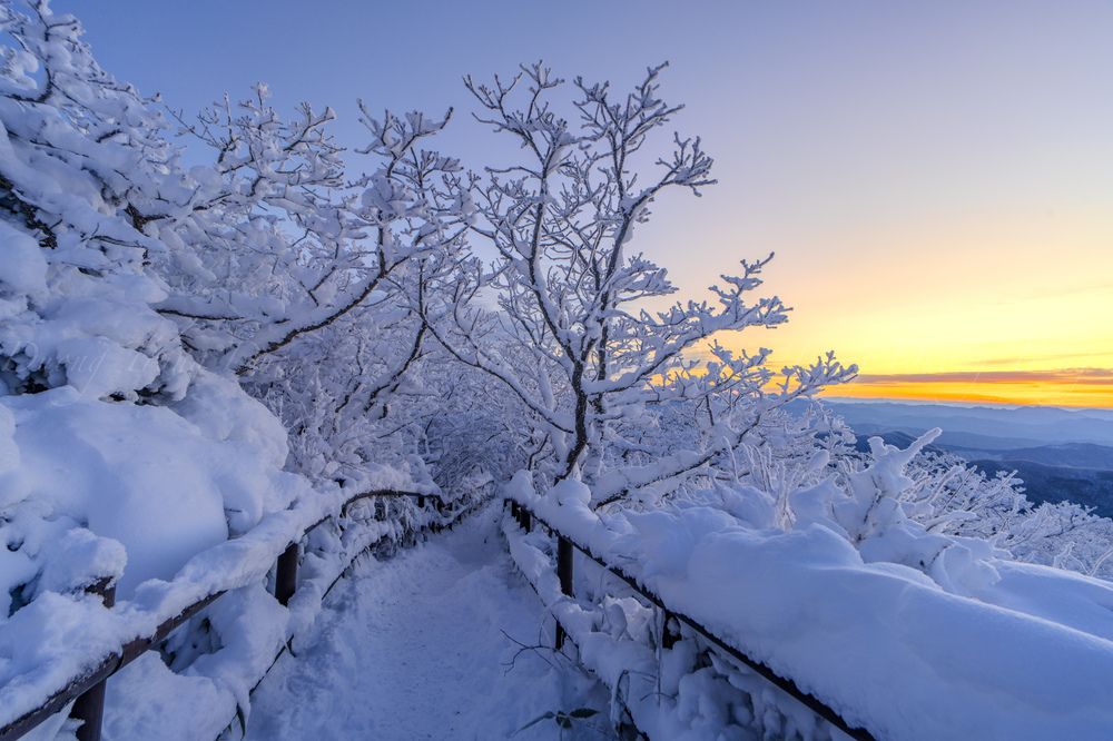 Photograph by Trung Duong