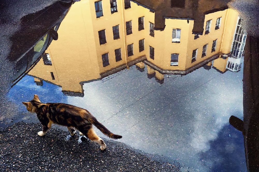 Photograph by Сергей Рыбежский