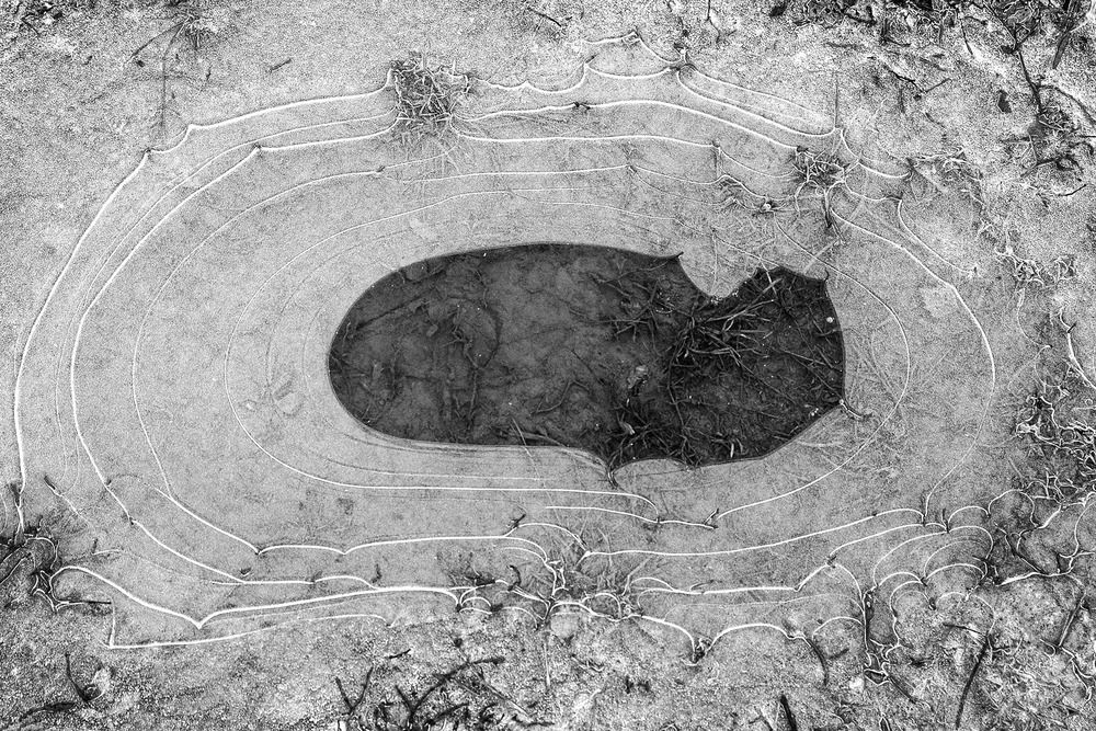 Photograph by Эдуард Шадров