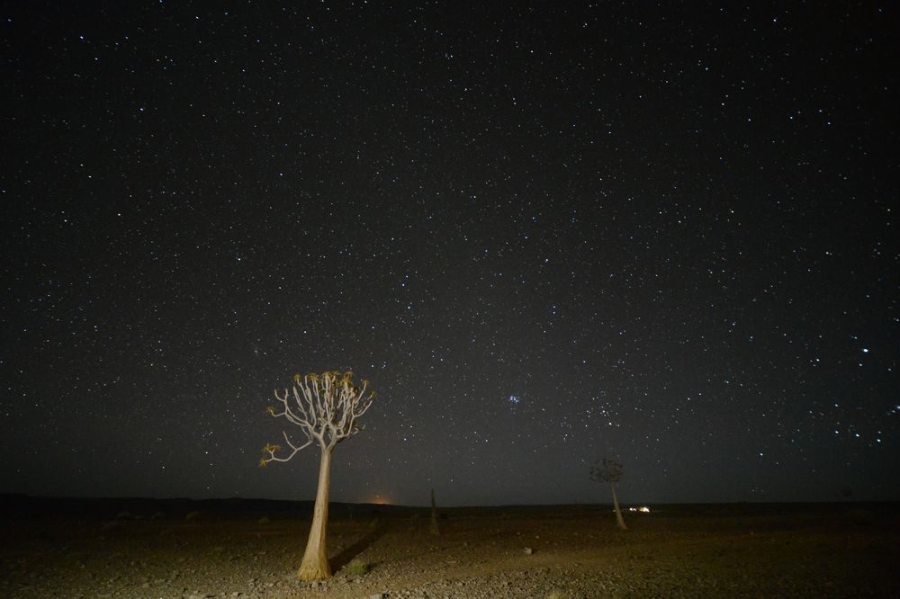 Photograph by Paolo Mola