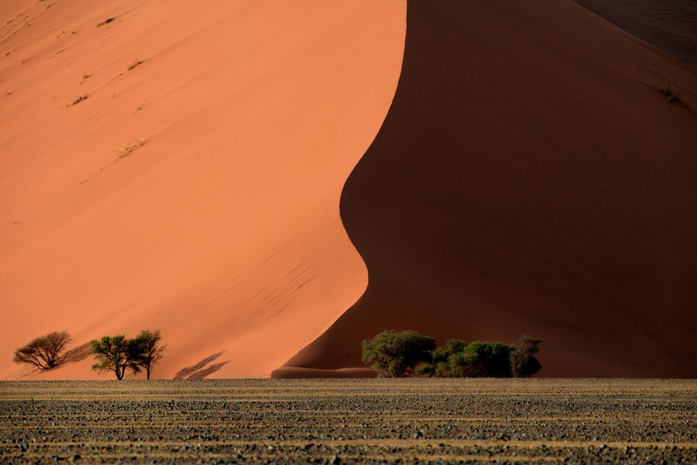 Photograph by Paolo Mola