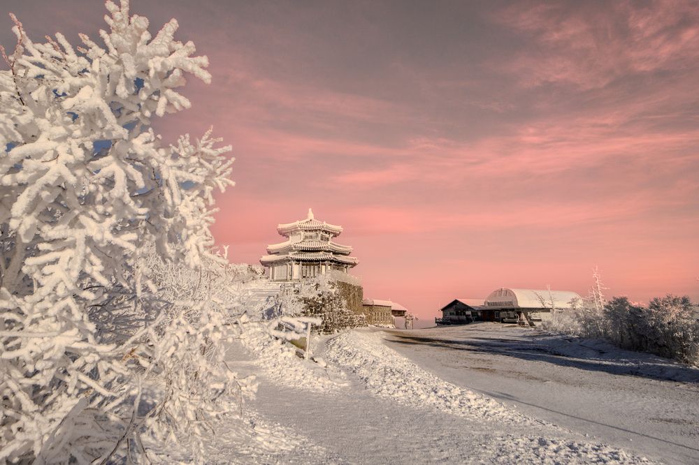 Photograph by Trung Duong