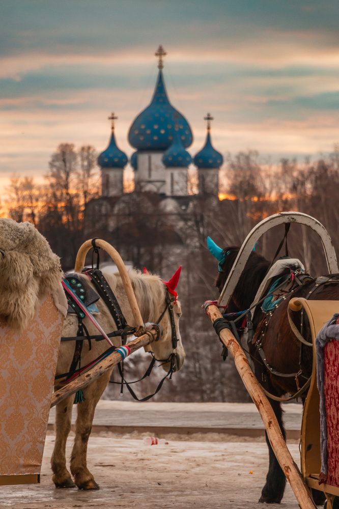 Фотография автора Романов Олег