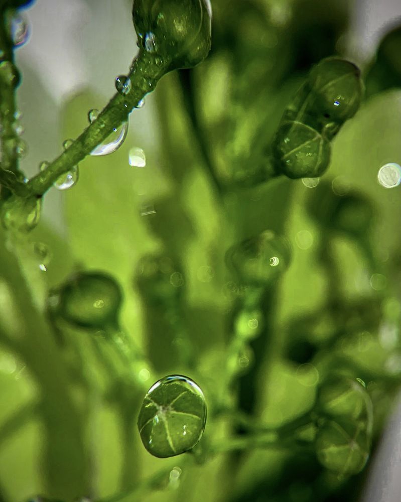 Photograph by Надежда Смирнова