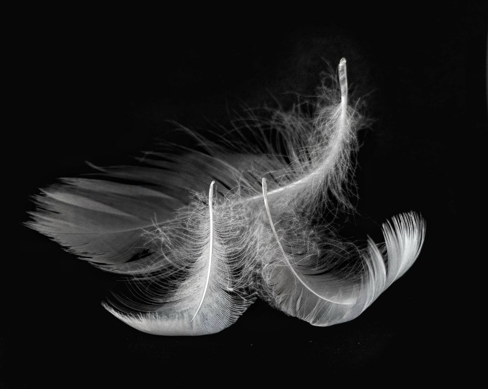 Photograph by Надежда Смирнова