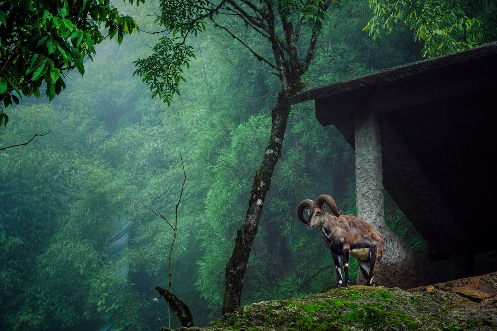 Photograph by Sweta Mishra