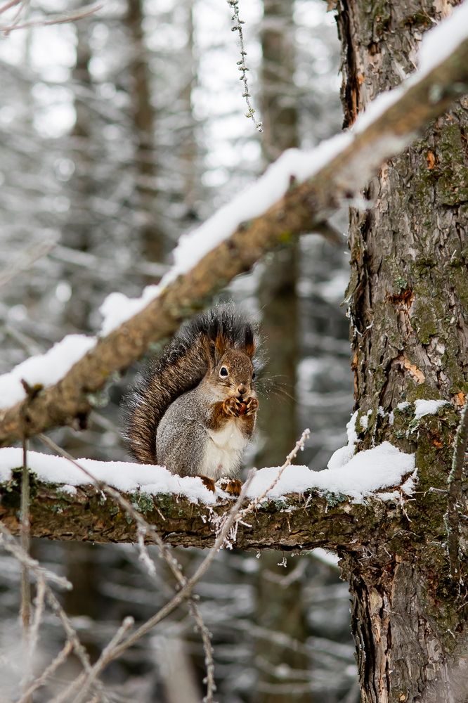 Photograph by Людмила Михеева