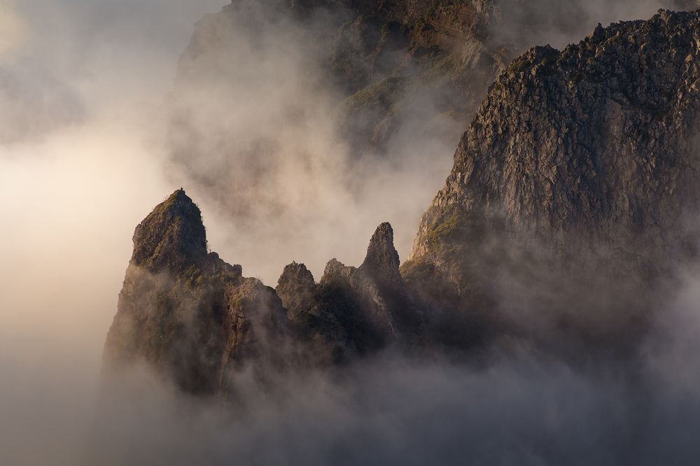 Photograph by Tomás Sánchez