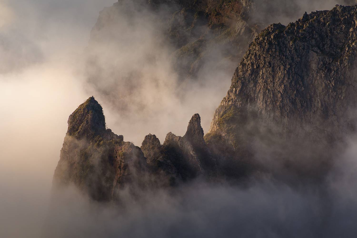 Фотография #11951877