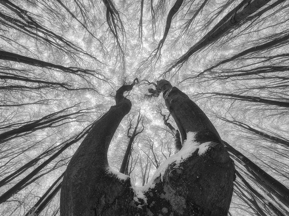 Photograph by Маджаров Костадин