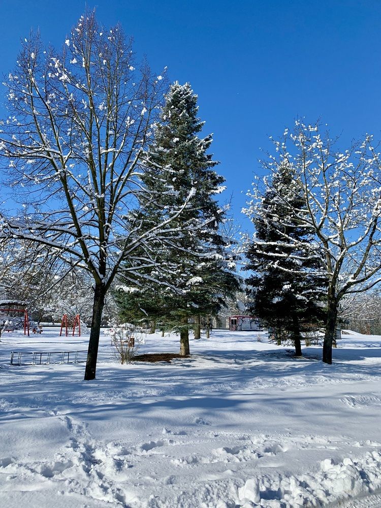 Photograph by Александр Чернега