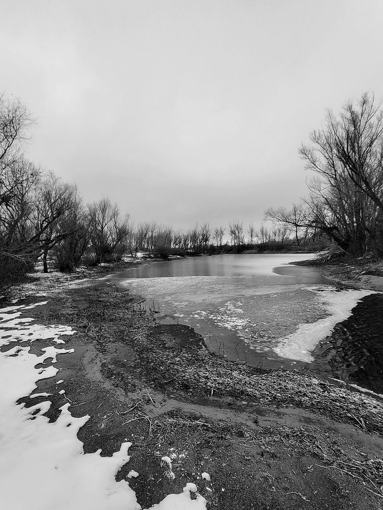 Photograph by Ольга Мокрова