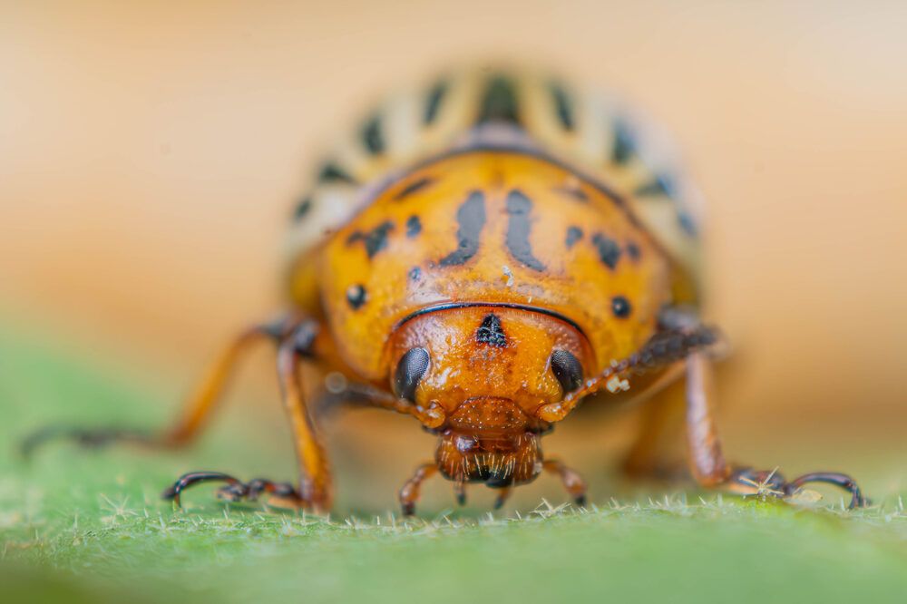 Photograph by Marianna Klein