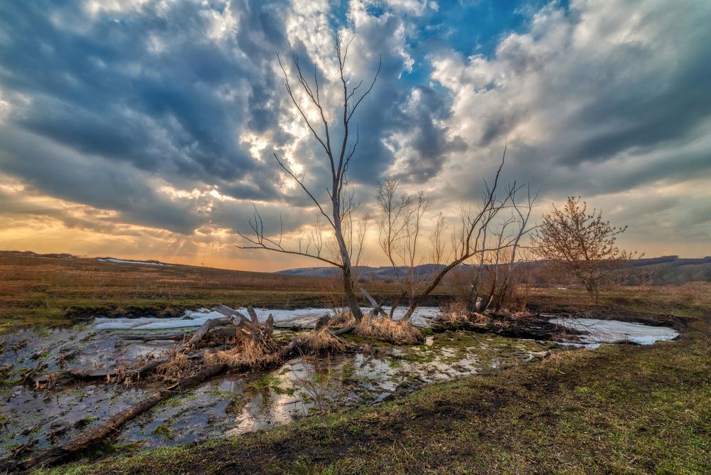 Фотография автора Владислав Шерман