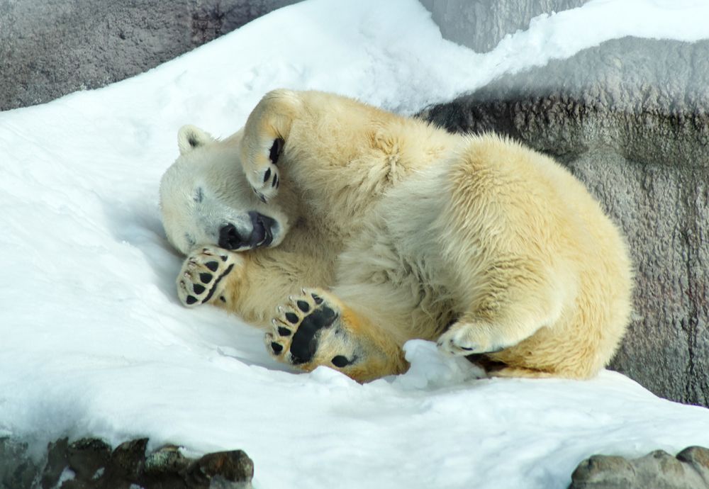 Солнце припекает