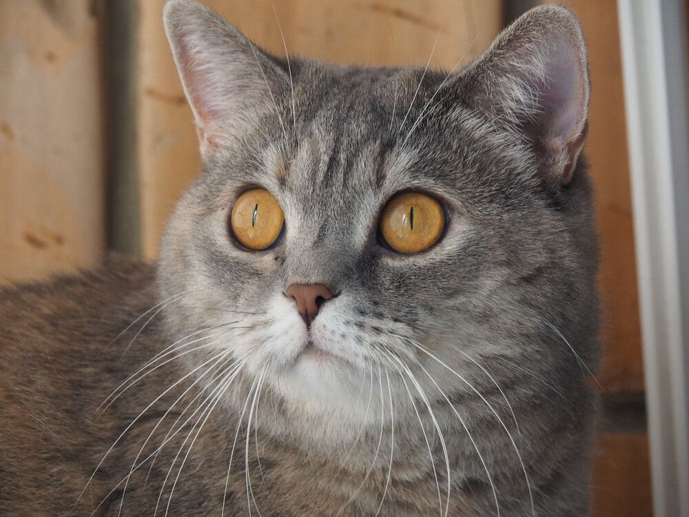 Photograph by Олег