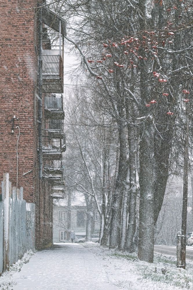 Photograph by Ольга Третьякова