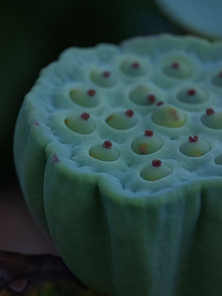 Photograph by Ольга Кирьянова