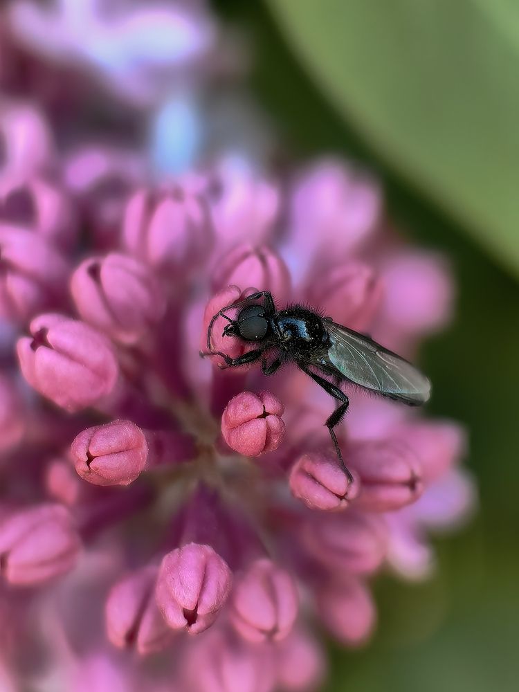 Photograph by Ольга Карева